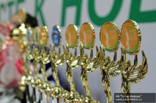 Финал Открытого кубка России по баскетболу на колясках